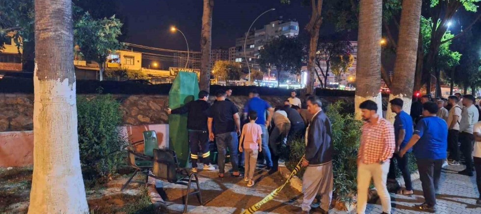 Parkta ölü bulundu