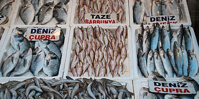Balık çeşitliliği azalacak, fiyatlar aynı kalacak