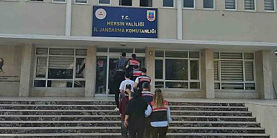 Şebeke çökertildi
