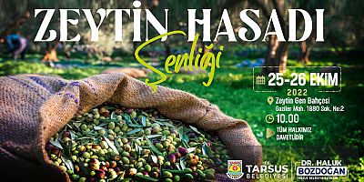 Tarsus Zeytin Hasat Şenliği yarın başlıyor
